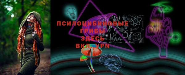 spice Алзамай